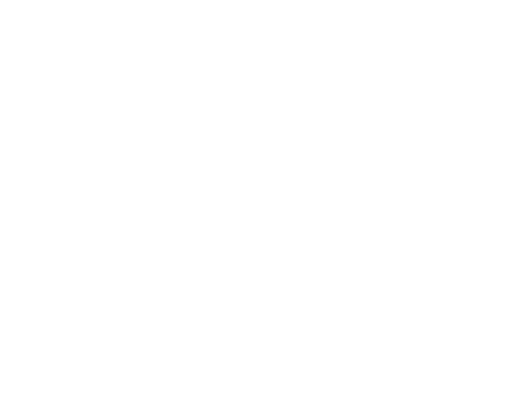 FOURSTROKE 01 FRS